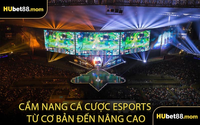 Cẩm Nang Cá Cược Esports Từ Cơ Bản Đến Nâng Cao