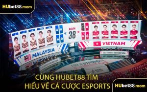 Cùng HUBET88 Tìm Hiểu Về Cá Cược Esports