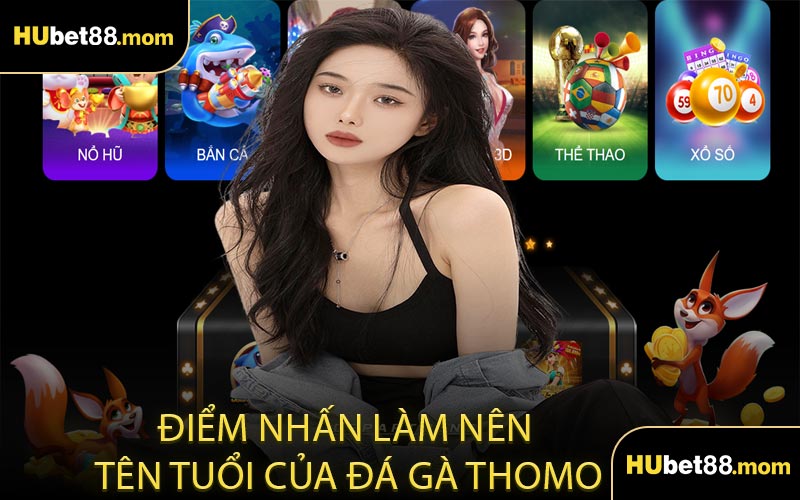 Điểm Nhấn Làm Nên Tên Tuổi Của Đá Gà Thomo