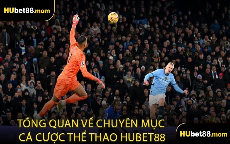 Tổng Quan Về Chuyên Mục Cá Cược Thể Thao HUBET88