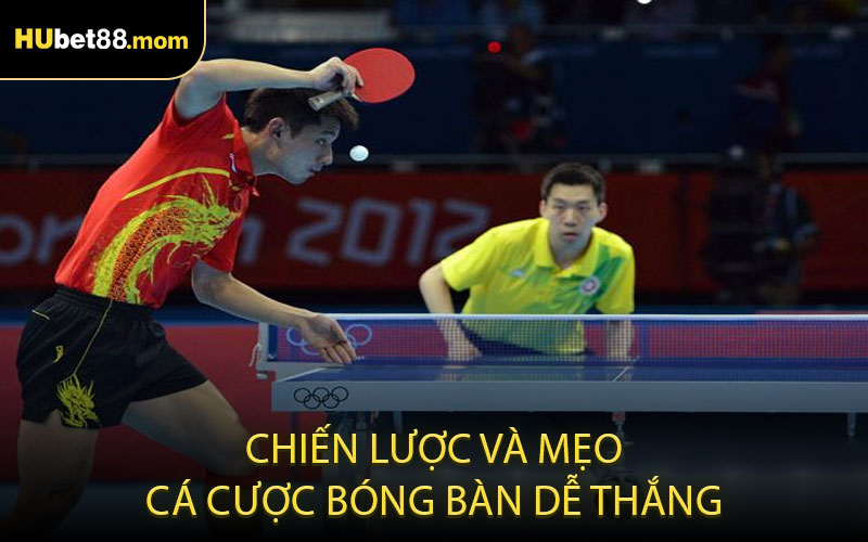 Chiến lược và mẹo cá cược bóng bàn dễ thắng