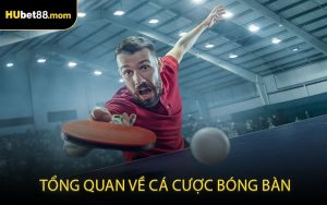 Tổng quan về cá cược bóng bàn