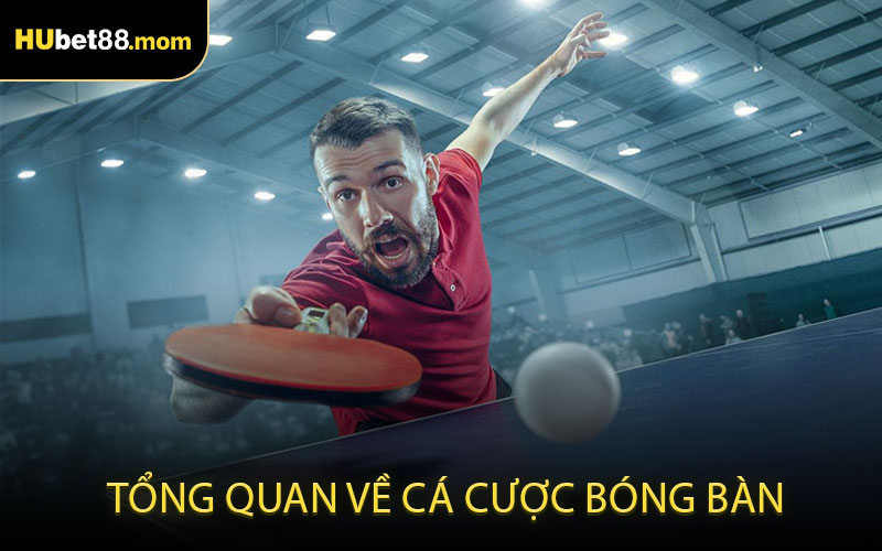 Tổng quan về cá cược bóng bàn
