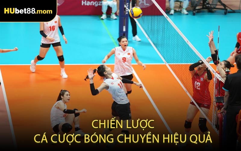 Chiến Lược Cá Cược Bóng Chuyền Hiệu Quả