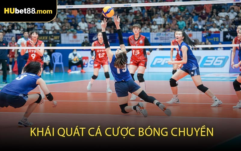 Khái Quát Cá Cược Bóng Chuyền