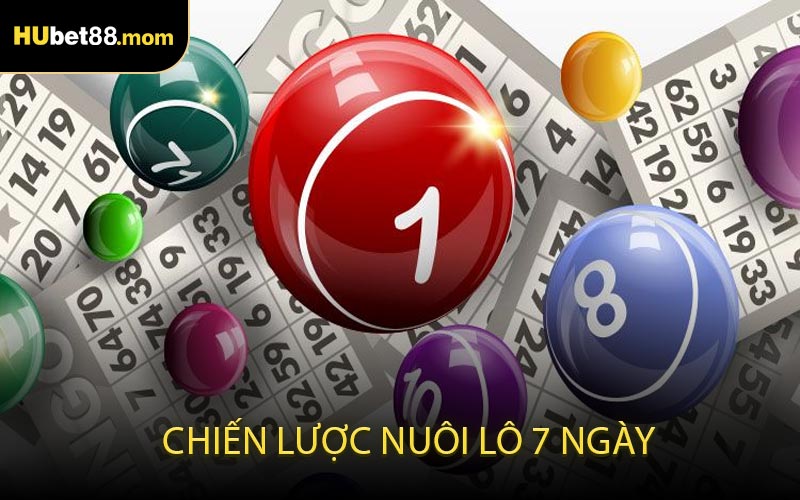 Chiến Lược Nuôi Lô 7 Ngày