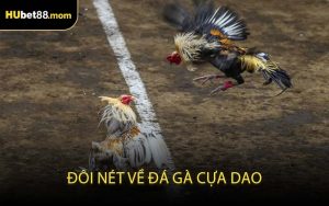 Đôi Nét Về Đá Gà Cựa Dao
