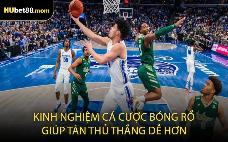 Kinh nghiệm cá cược bóng rổ giúp tân thủ thắng dễ hơn